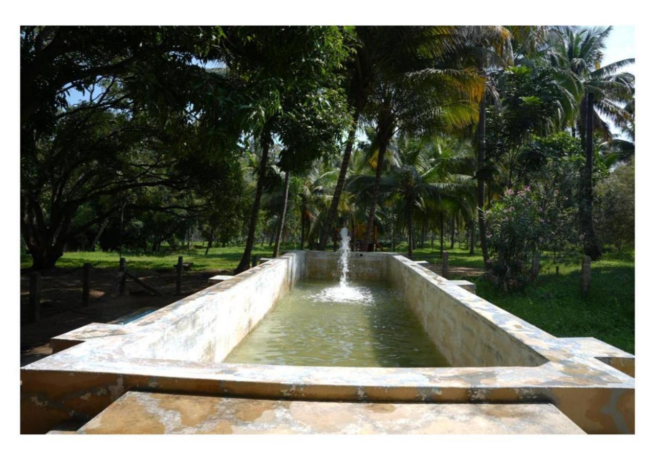Down To Earth Farmstay By Laksem Anaimalai ภายนอก รูปภาพ