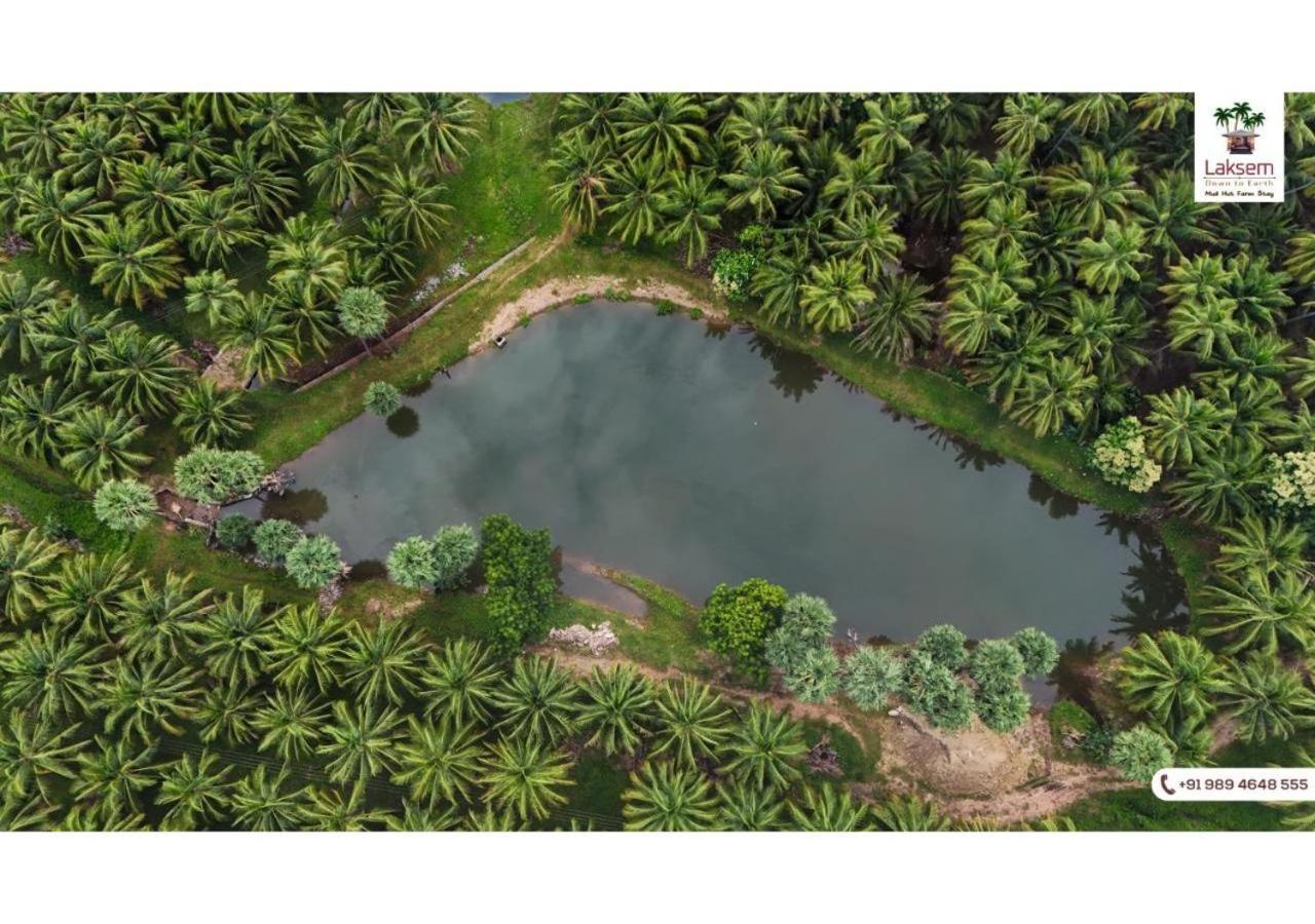 Down To Earth Farmstay By Laksem Anaimalai ภายนอก รูปภาพ